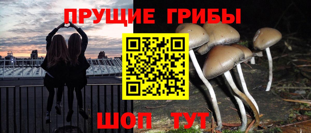 закладка  Вход с VPN  Первоуральск  Галлюциногенные грибы Psilocybine cubensis 